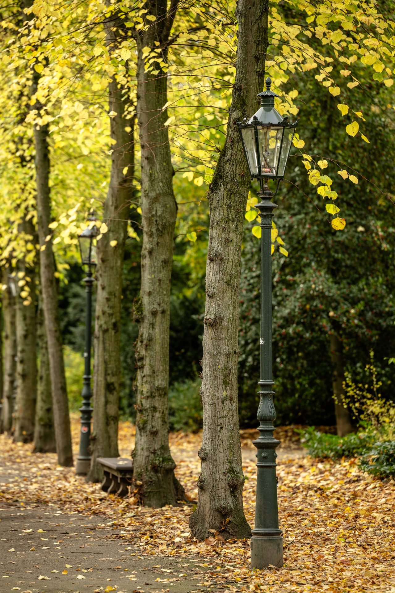 Böcker Wohnimmobilien - Immobilienangebot - Düsseldorf-Pempelfort - Alle - Ca. 216 m² Wohnkultur mit direktem Blick ins Grüne