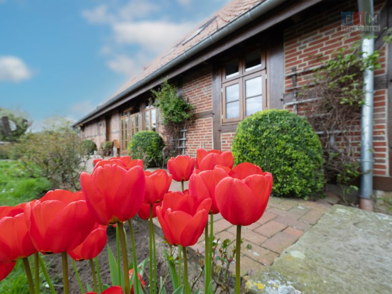Immobilienangebot - Gehrde - Alle - Ihr neues Traumdomizil: Landhaus-Romantik in einer einzigartigen Lage
