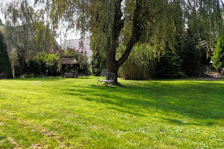 Immobilienangebot - Ibbenbüren - Alle - Starten Sie Ihr Bauprojekt: Unerschlossenes Grundstück wartet auf Ihre Pläne