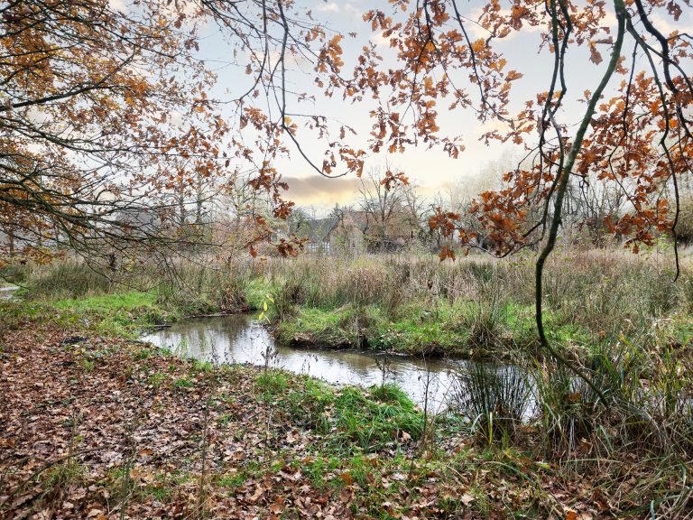 Immobilienangebot - Borgholzhausen - Alle - Naturnahes Zweifamilienhaus in ruhiger Wohnlage von Borgholzhausen