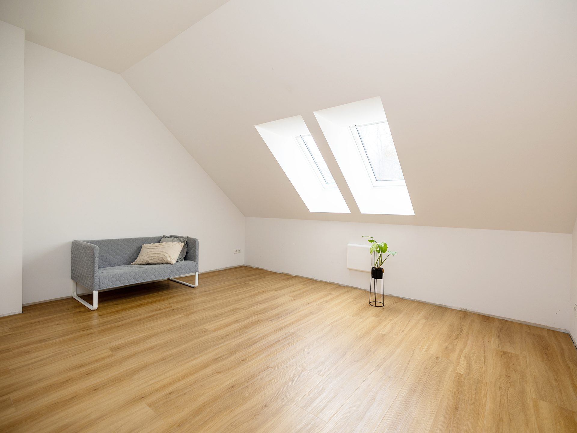 Immobilienangebot - Melle - Alle - Kernsaniertes Einfamilienhaus in Melle mit Einliegerwohnung - ruhig gelegen und viel Privatsphäre