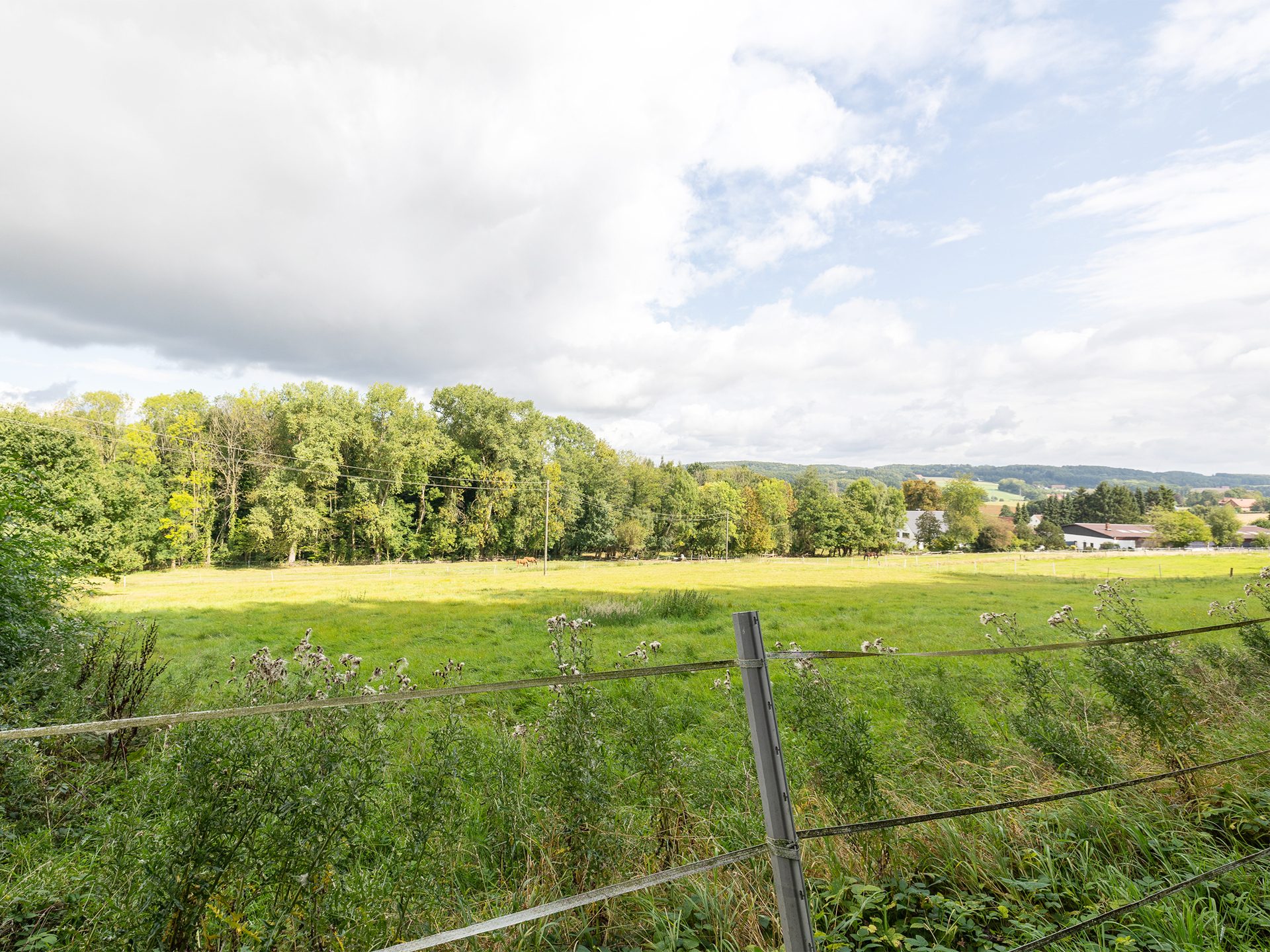Immobilienangebot - Hilter am Teutoburger Wald - Alle - Großzügiges Einfamilienhaus trifft auf ruhige Waldrandlage in Hilter