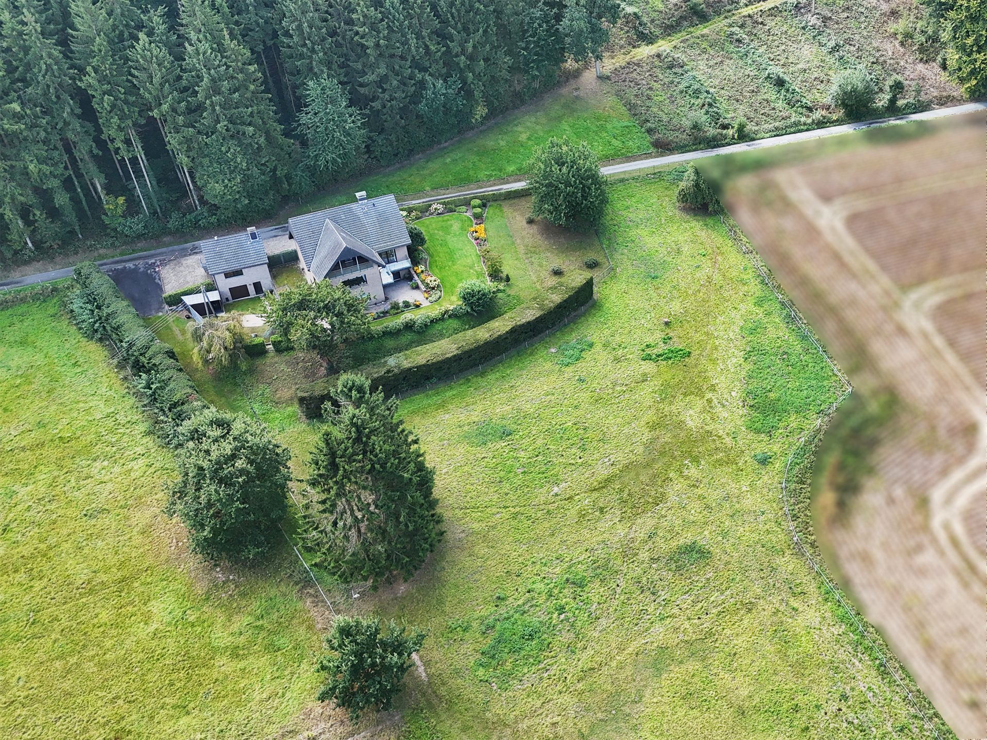 Immobilienangebot - Hilter am Teutoburger Wald - Alle - Großzügiges Einfamilienhaus trifft auf ruhige Waldrandlage in Hilter