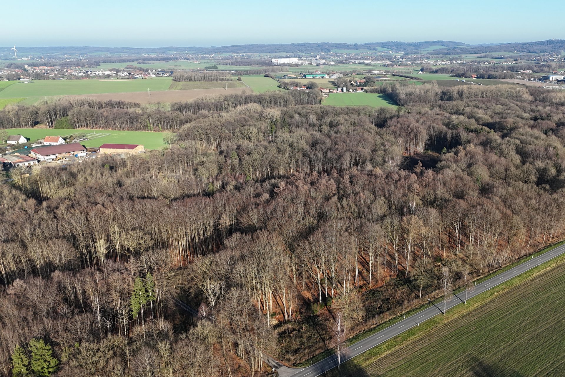 Immobilienangebot - Melle - Alle - Zwei Waldflächen - ein Stück Natur in Wennigsen