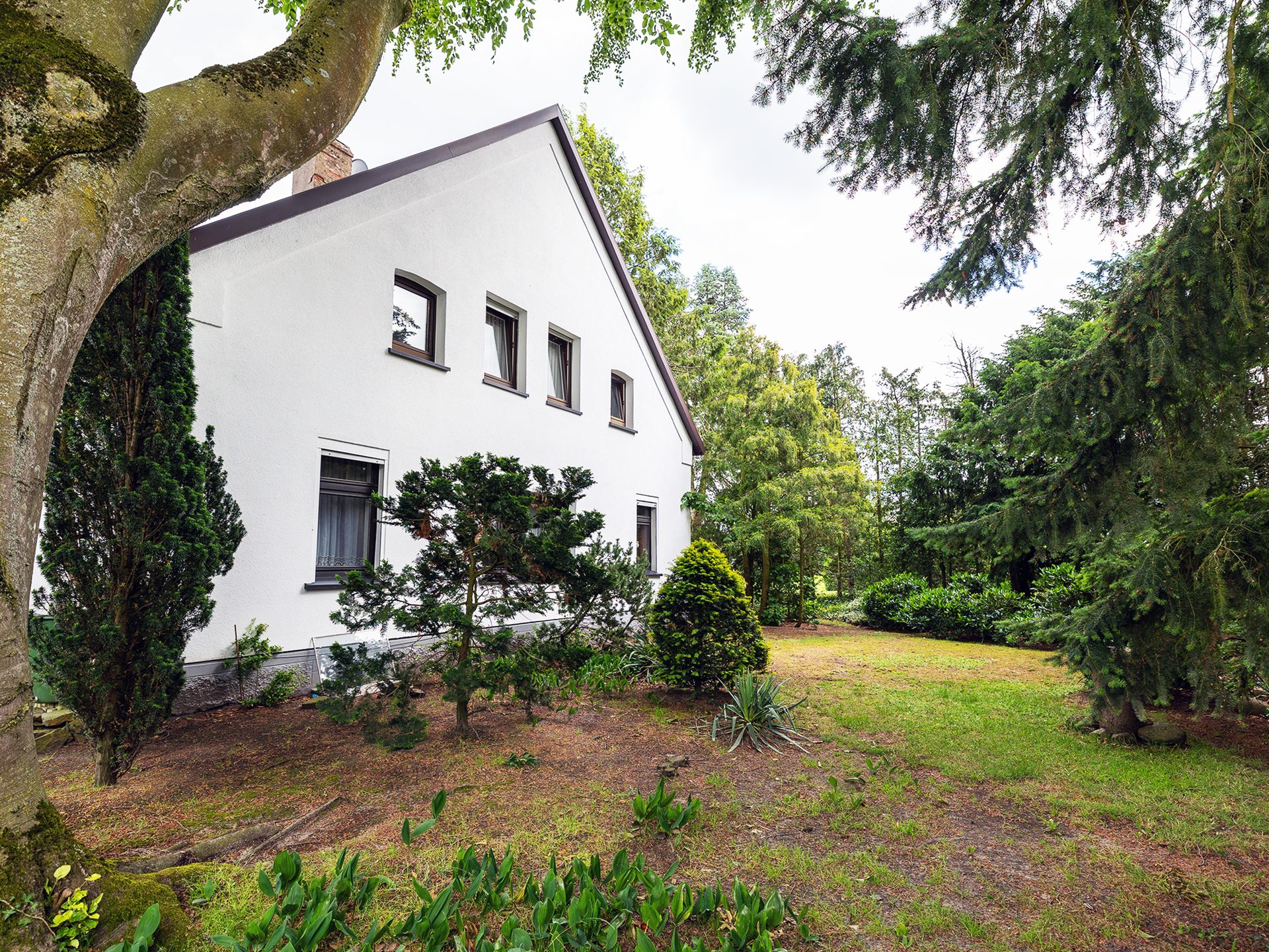 Immobilienangebot - Rahden - Alle - Einzigartiges Gebäudeensemble auf ca. 3.116 m² in Rahden – Wohnen, Arbeiten und Leben verbinden