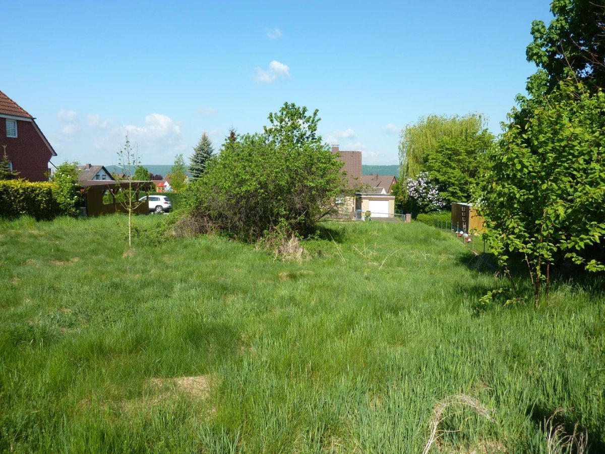 Immobilienangebot - Fürstenberg - Grundstücke - Attraktives Baugrundstück in ruhiger Wohngegend