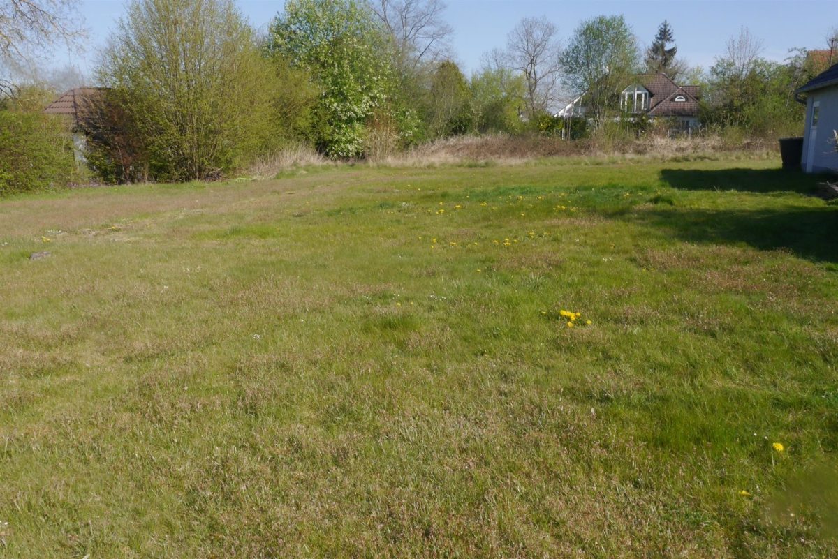 Immobilienangebot - Holzminden - Alle - Tolles Baugrundstück in guter Lage von Holzminden
