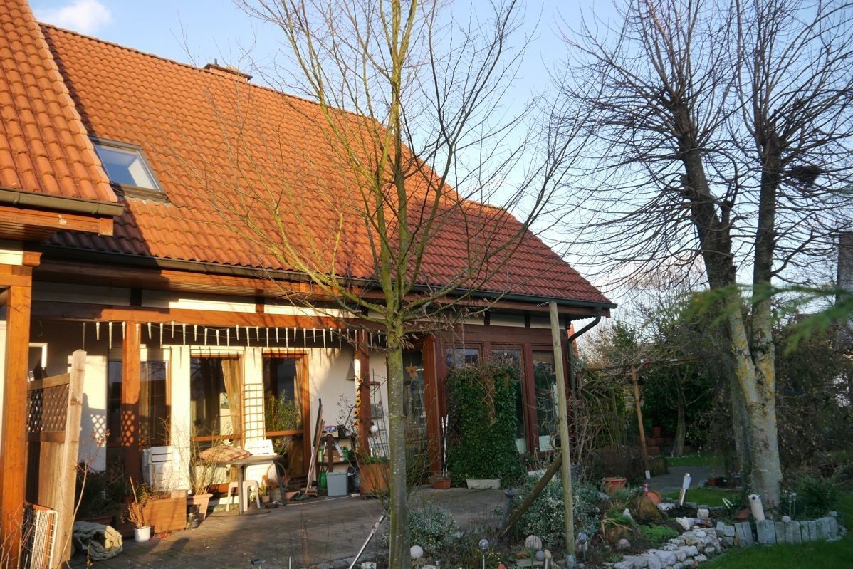 Immobilienangebot - Schlangen - Alle - Einfamilienhaus-Doppelhaushälfte in beliebter Wohnlage