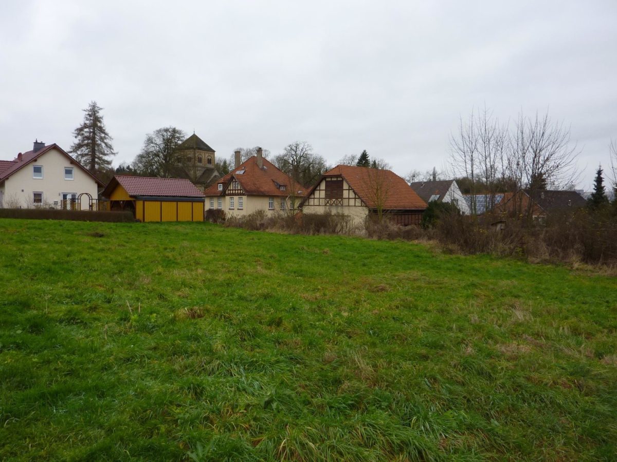 Immobilienangebot - Willebadessen-Niesen - Alle - Baugrundstück mit Blick über Willebadessen-Niesen