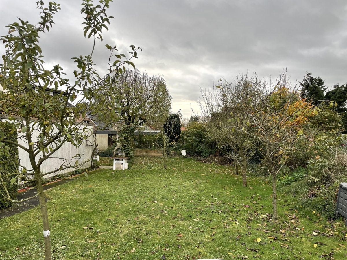 Immobilienangebot - Halle - Grundstücke - Der ideale Platz für ihr "Traumhaus" mit Südausrichtung
