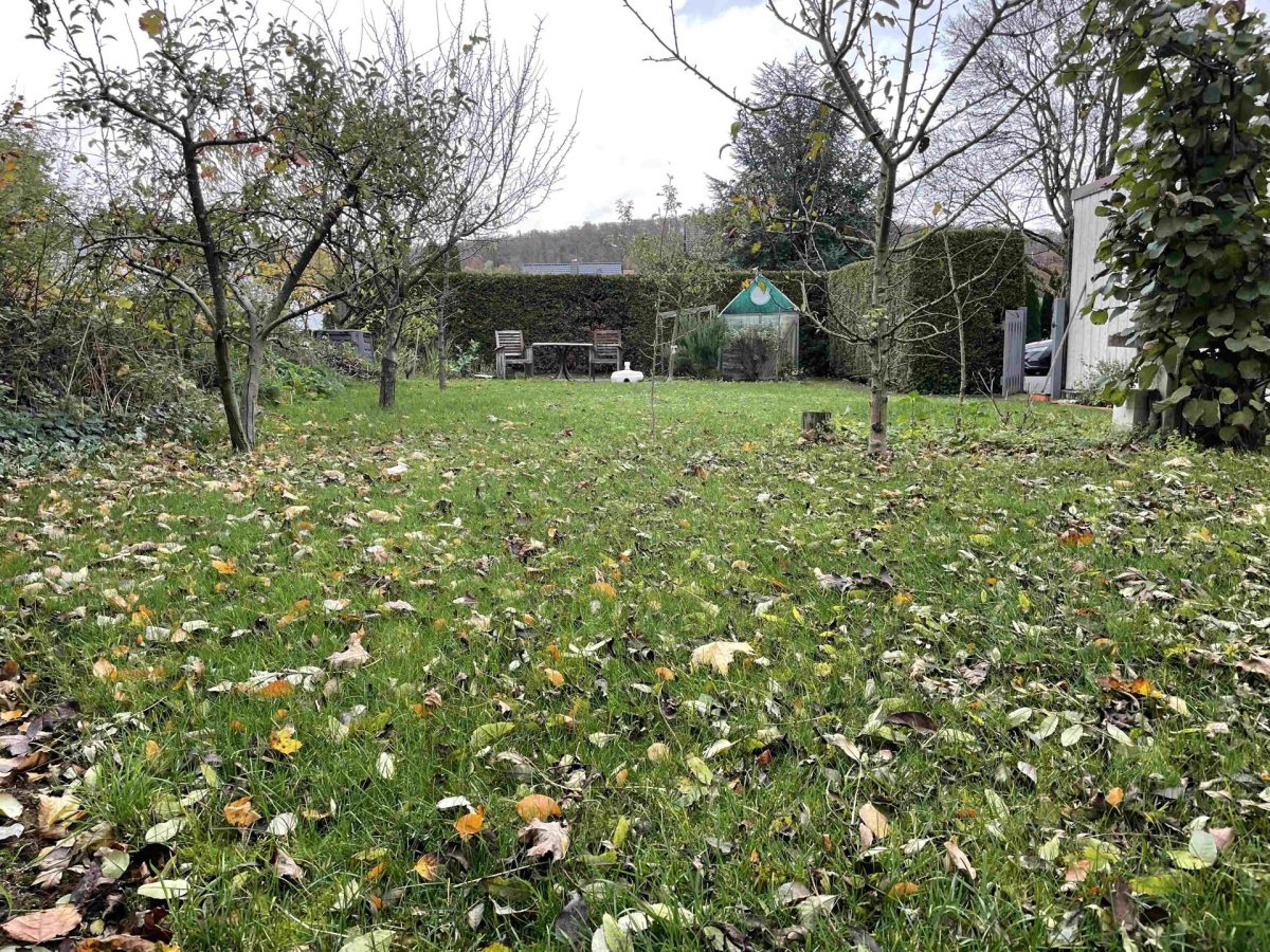Immobilienangebot - Halle - Grundstücke - Der ideale Platz für ihr "Traumhaus" mit Südausrichtung