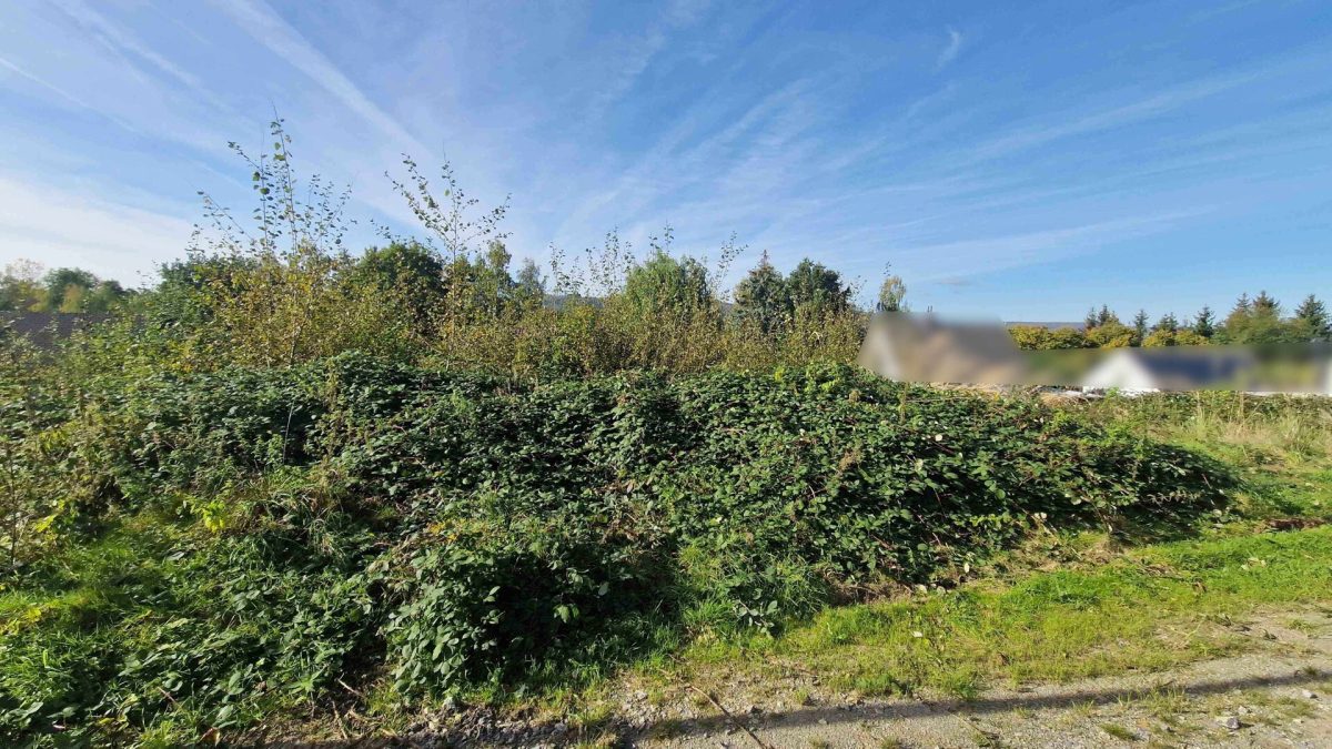 Baugrundstück Immobilienangebot - Höxter / Lüchtringen - Grundstücke - Verwirklichen Sie Ihren Traum vom Eigenheim auf diesem Baugrundstück