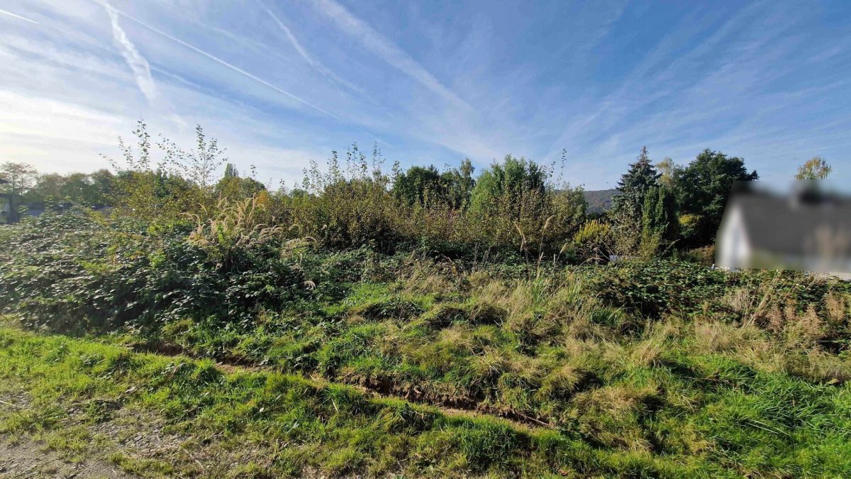 Baugrundstück Immobilienangebot - Höxter / Lüchtringen - Grundstücke - Verwirklichen Sie Ihren Traum vom Eigenheim auf diesem Baugrundstück