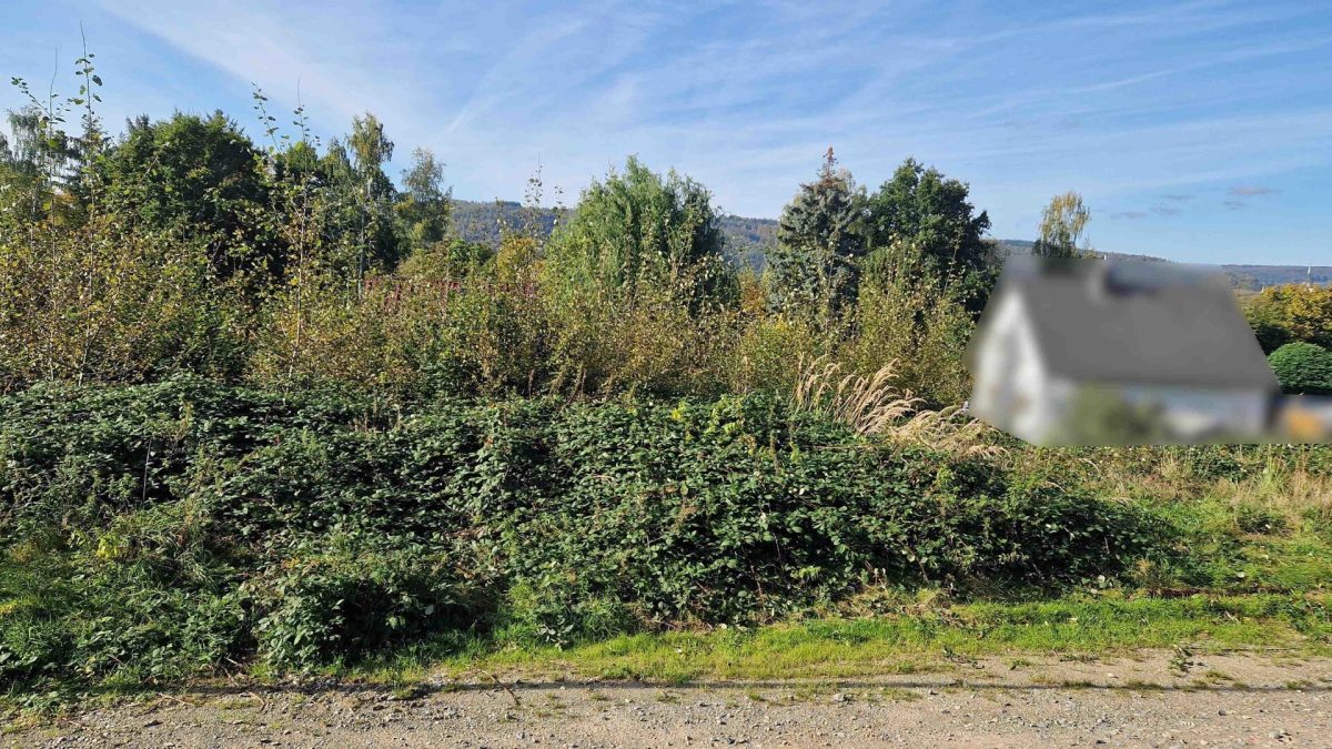 Baugrundstück Immobilienangebot - Höxter / Lüchtringen - Grundstücke - Verwirklichen Sie Ihren Traum vom Eigenheim auf diesem Baugrundstück