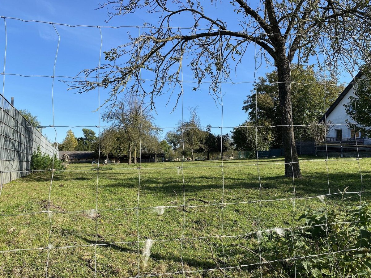 Immobilienangebot - Salzkotten / Upsprunge - Grundstücke - Baugrundstück für Ihr Traumhaus im Ortskern