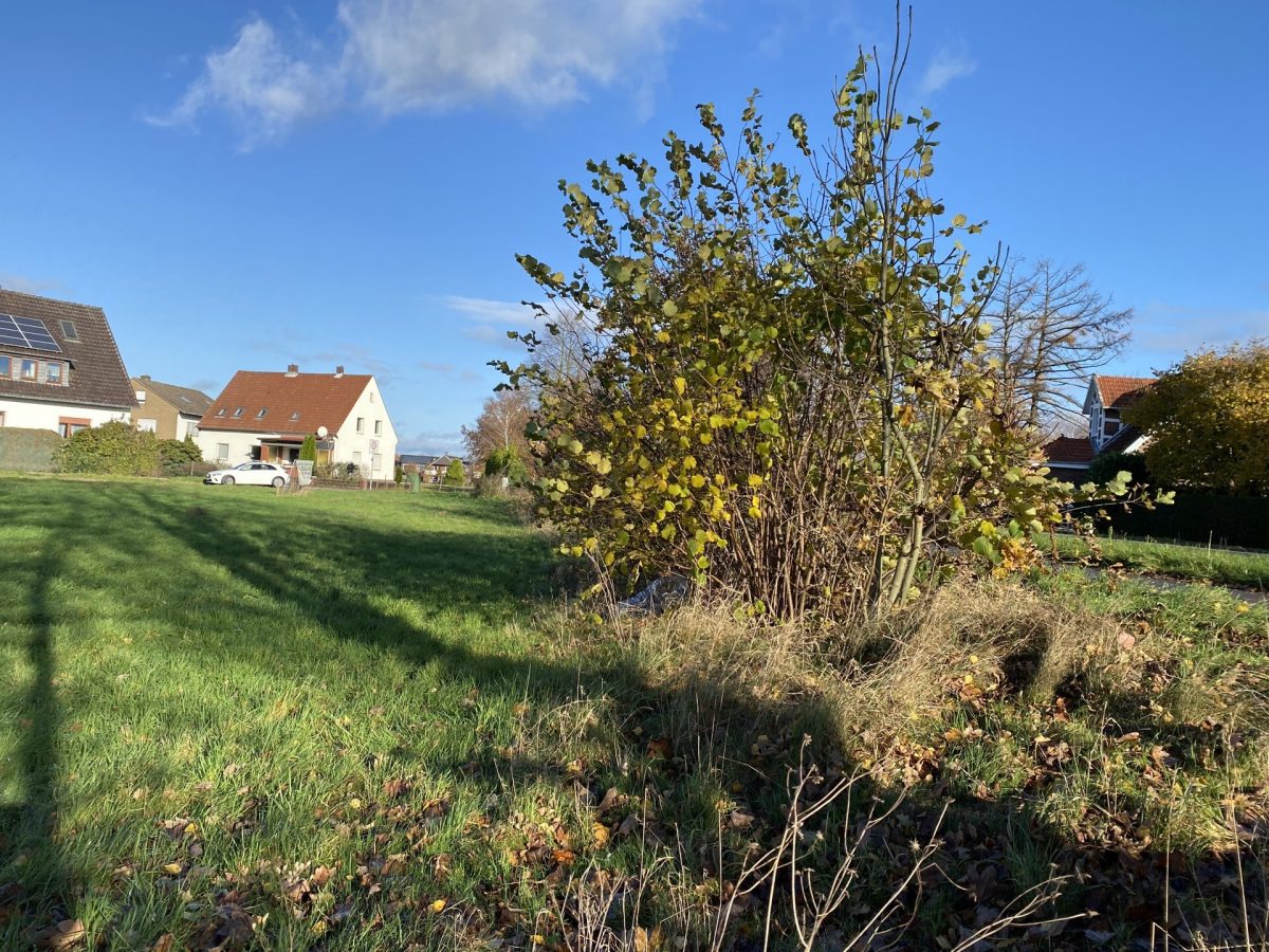 Immobilienangebot - Minden - Grundstücke - Schönes Baugrundstück für Ihr neues Zuhause