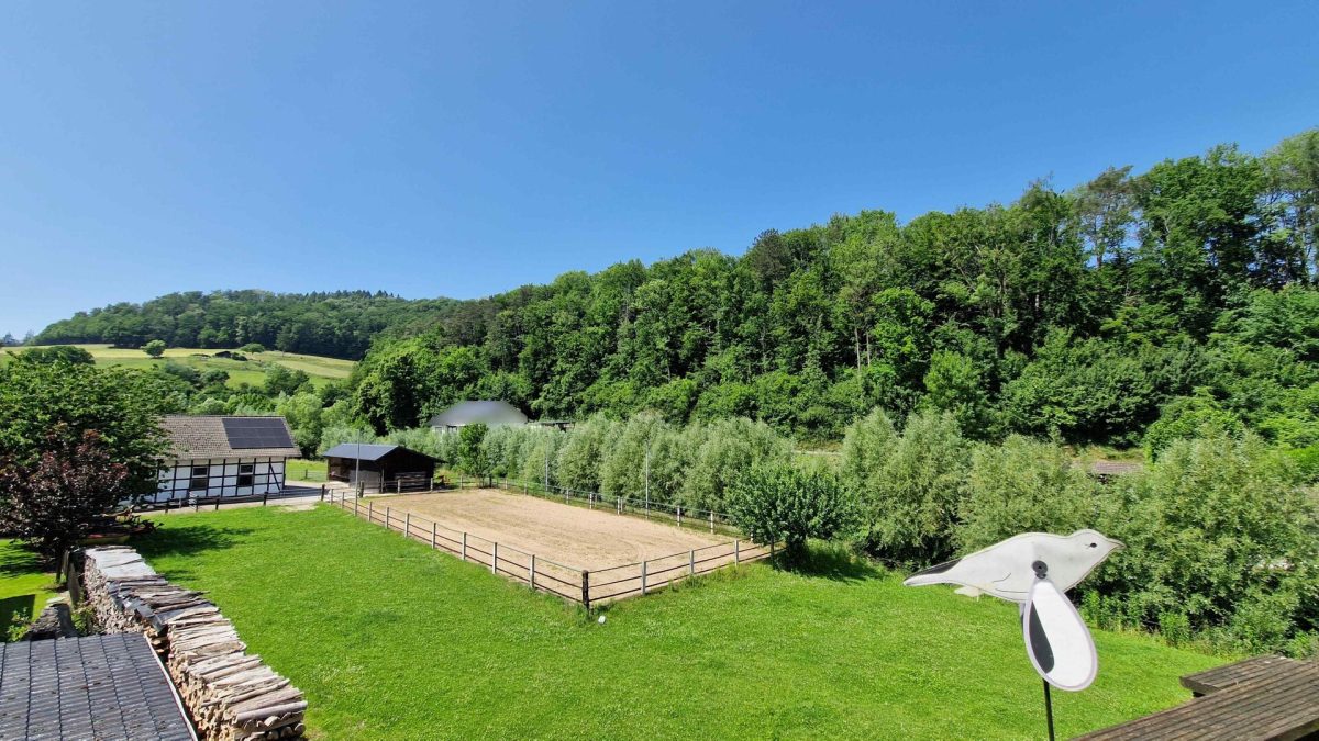 Immobilienangebot - Höxter / Ovenhausen - Alle - Ländlich und ruhig gelegene Doppelhaushälfte