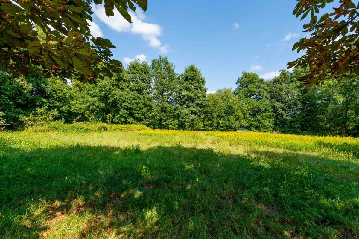 Immobilienangebot - Hövelhof - Grundstücke - Landwirtschaftliche Fläche