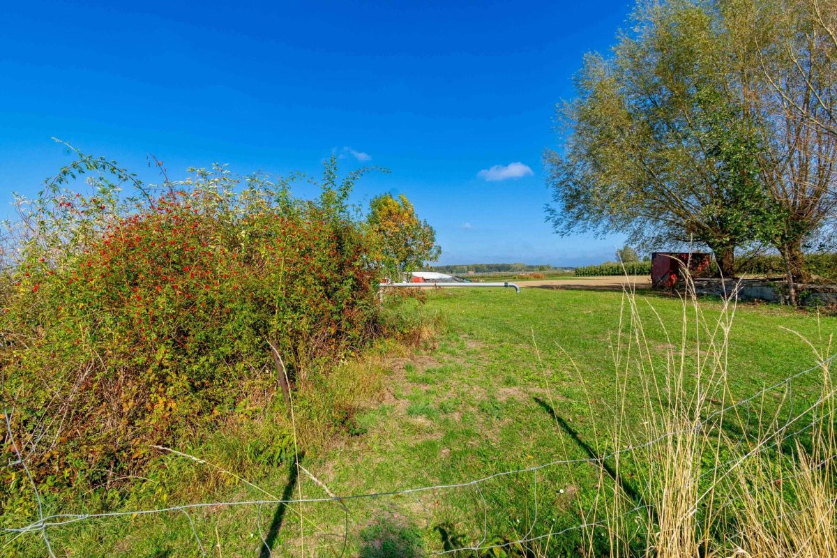 Immobilienangebot - Salzkotten / Bosenholz - Grundstücke - Zusammenhängende Ackerfläche