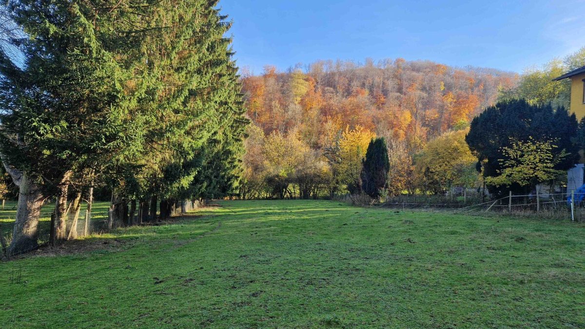 Immobilienangebot - Höxter - Grundstücke - Großzügiges Grundstück mit viel Platz für Ihre Ideen