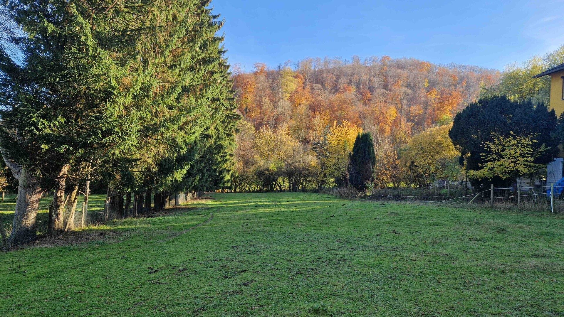 Immobilienangebot - Höxter - Grundstücke - Großzügiges Grundstück mit viel Platz für Ihre Ideen