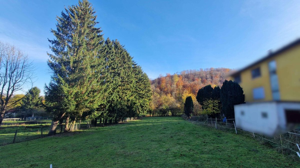 Immobilienangebot - Höxter - Grundstücke - Großzügiges Grundstück mit viel Platz für Ihre Ideen