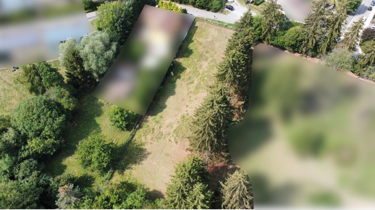 Immobilienangebot - Höxter - Grundstücke - Großzügiges Grundstück mit viel Platz für Ihre Ideen