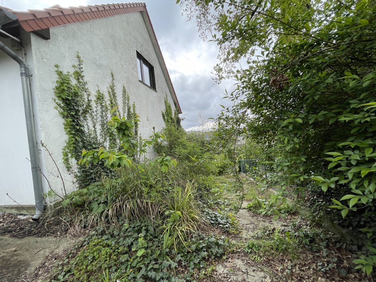 Immobilienangebot - Borchen - Alle - Grundstück mit Altbestand in attraktiver Lage