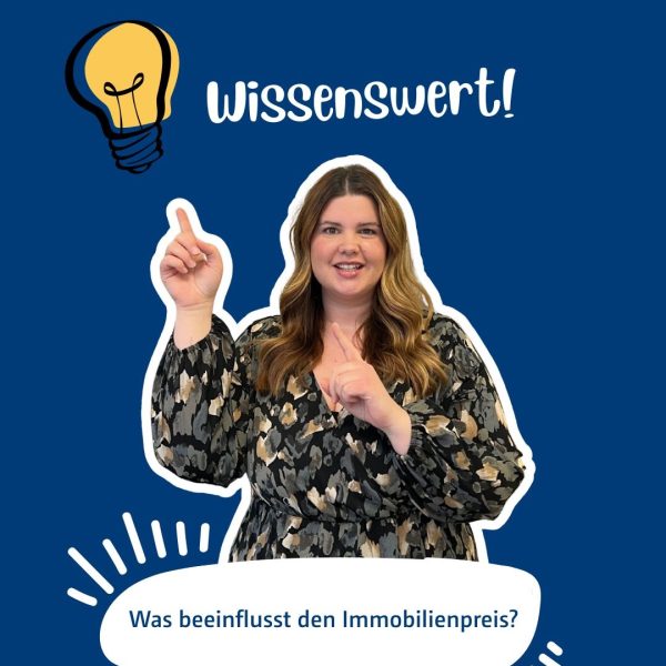 Welche Faktoren beeinflussen den Immobilienmarkt?
