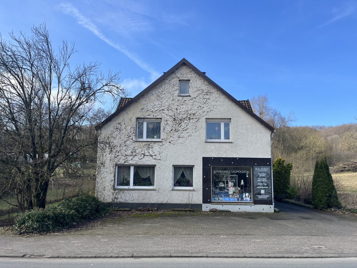 Außenansicht Immobilienangebot - Horn-Bad Meinberg / Leopoldstal - Alle - Erschaffen Sie Ihre persönliche Lebensoase!