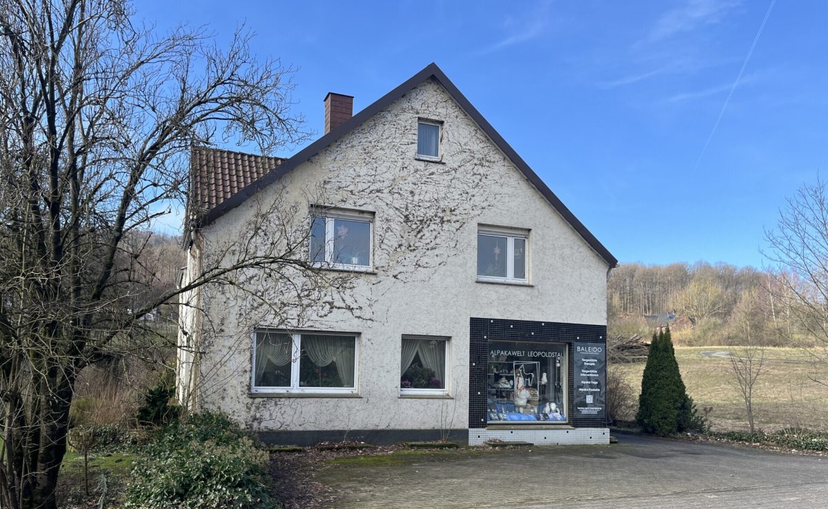 Außenansicht Immobilienangebot - Horn-Bad Meinberg / Leopoldstal - Alle - Erschaffen Sie Ihre persönliche Lebensoase!