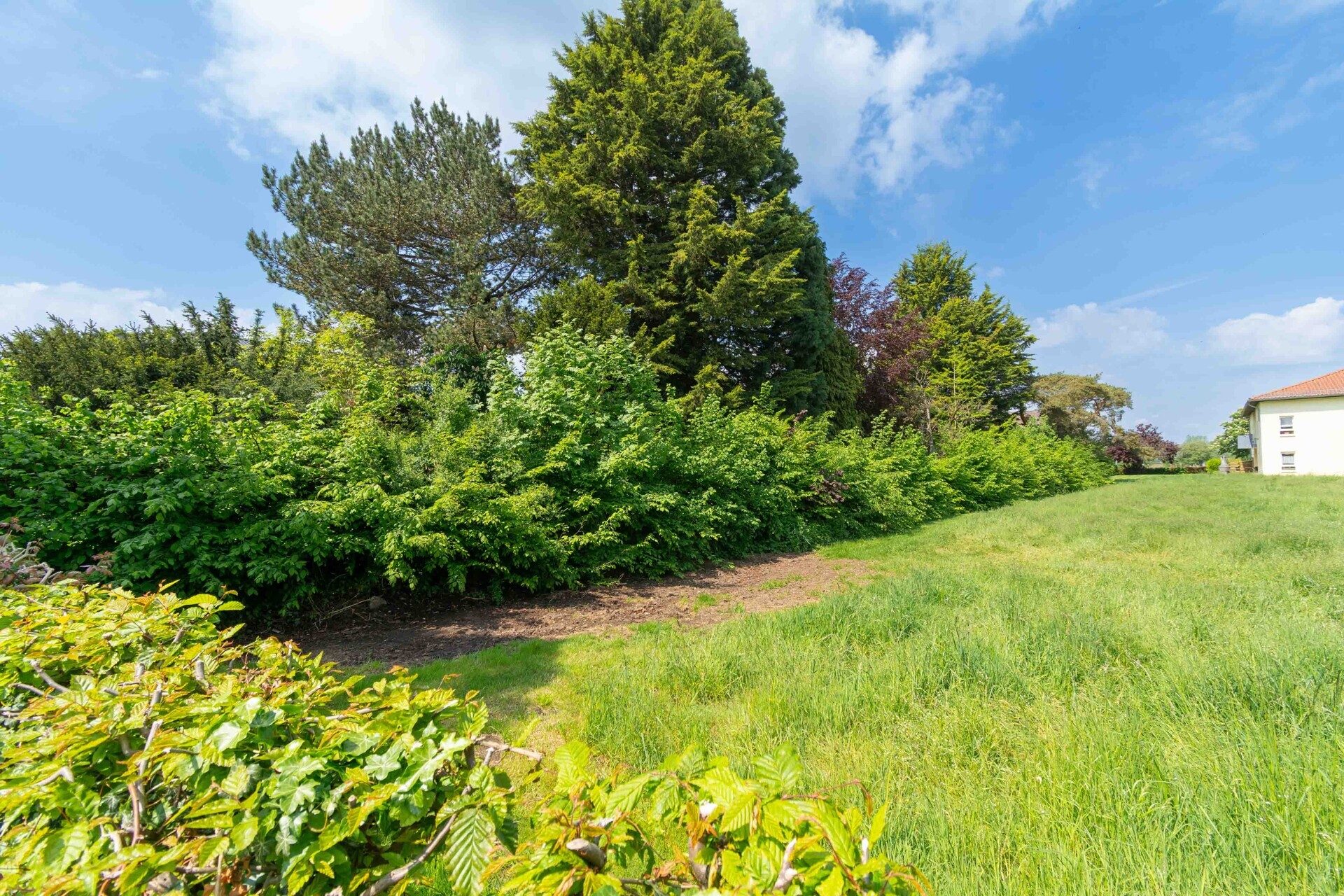 Immobilienangebot - Salzkotten - Grundstücke - Großzügiges Baugrundstück in zentraler Wohnlage