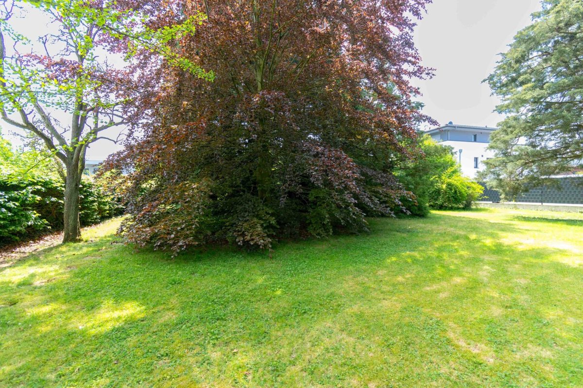 Immobilienangebot - Salzkotten - Grundstücke - Großzügiges Baugrundstück in zentraler Wohnlage