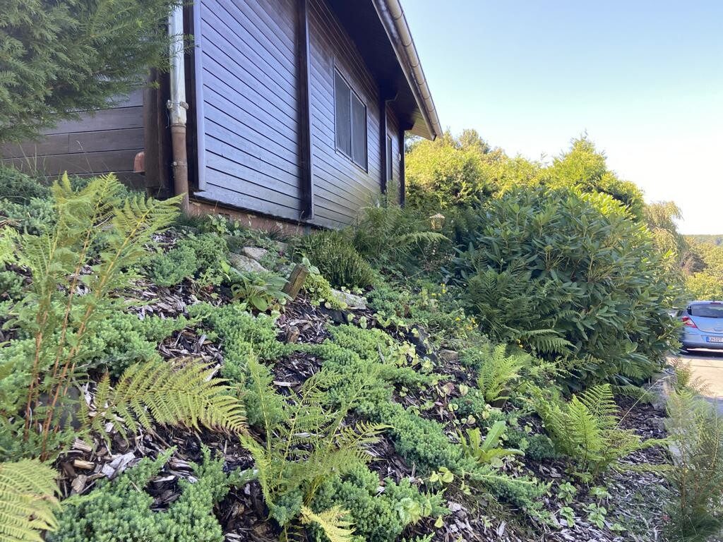 Immobilienangebot - Bad Wünnenberg / Leiberg - Alle - Wohnen, wo andere Urlaub machen -  Ferienhaus