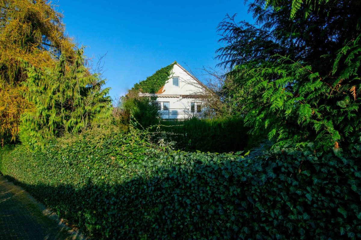 Immobilienangebot - Paderborn - Alle - Vielseitiges Einfamilienhaus mit Büro-Nutzung