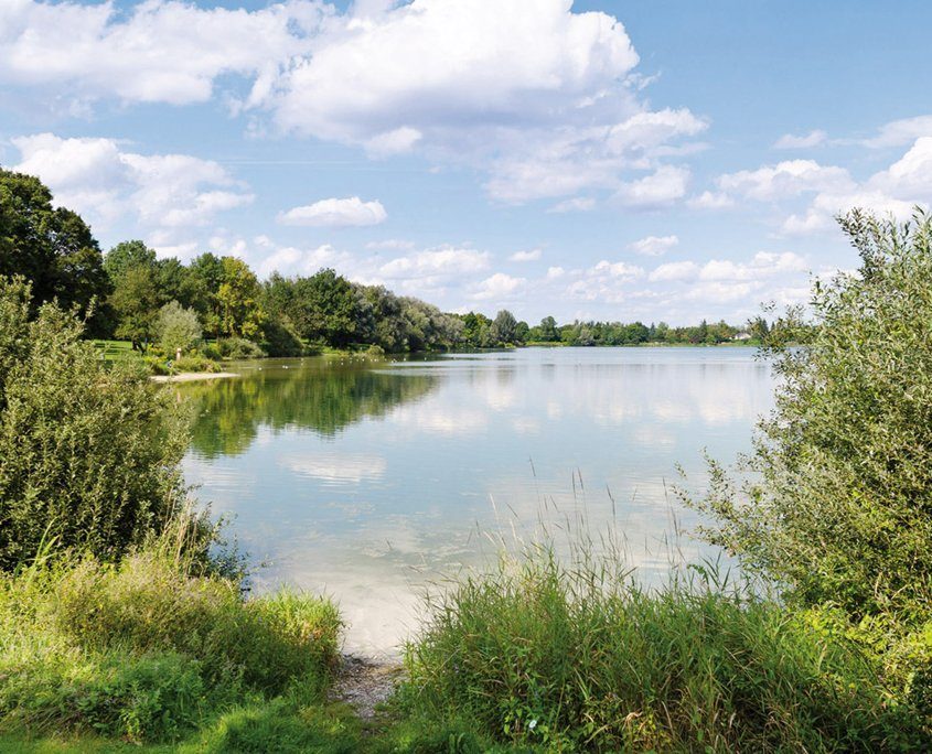 See umschlossen von Bäumen