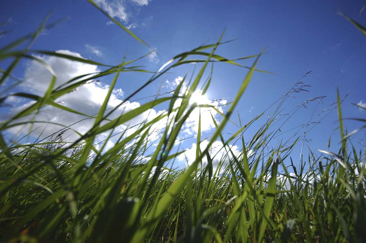 Aigner Immobilien GmbH - Immobilienangebot - 82049 Pullach - Pullach - Baugrund für Ein- / Zweifamilienhäuser - Großes Grundstück mit Altbestand in ruhiger Lage in Pullach