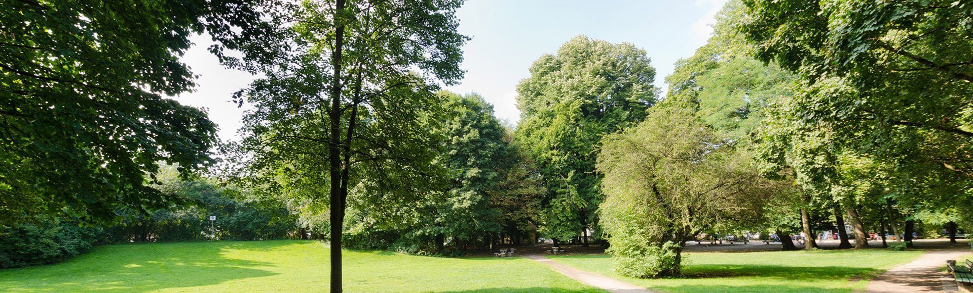 Blick in eine Parklandschaft