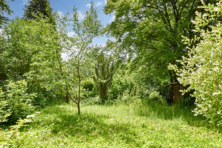 Aigner Immobilien GmbH - Immobilienangebot - 81545 München - Harlaching - Baugrund für Ein- / Zweifamilienhäuser - Baupartner gesucht! Exklusive Grundstückshälfte in Bestlage von Harlaching!