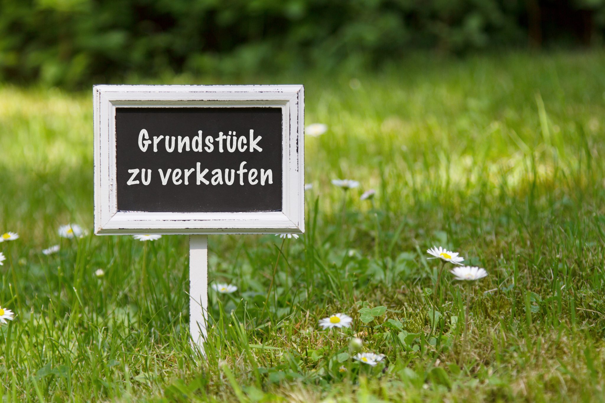 Aigner Immobilien GmbH - Immobilienangebot - 81545 München - Harlaching - Baugrund für Ein- / Zweifamilienhäuser - Baupartner gesucht! Exklusive Grundstückshälfte in Bestlage von Harlaching!