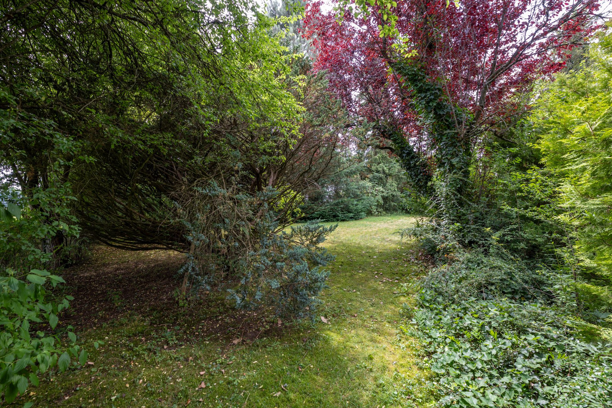 Aigner Immobilien GmbH - Immobilienangebot - 82064 Großdingharting - Straßlach-Dingharting - Einfamilienhaus - Charmantes Einfamilienhaus mit großzügigem Garten unweit der Ludwigshöhe