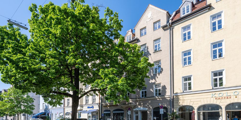 Historische Altbau-Häuser mit großen Fenstern und Ladengeschäften im Erdgeschoss in München, davor ein großer, grüner Baum unter blauem Himmel