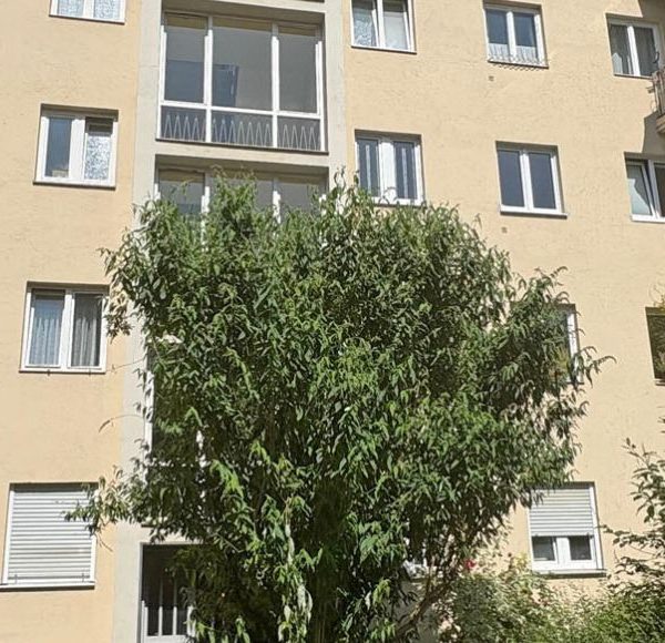 Außenansicht eines gepflegten Mehrfamilienhauses mit Balkonen und begrünter Hoffläche in München