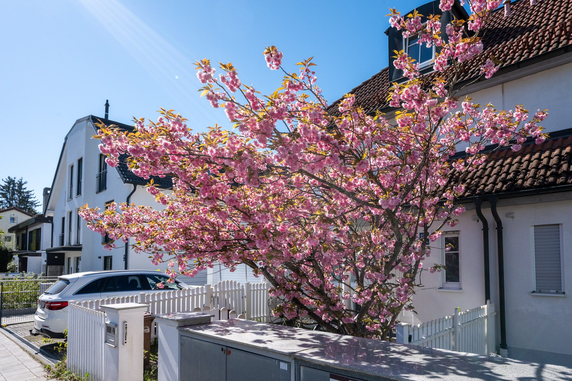 Aigner Immobilien GmbH - Immobilienangebot - 81475 München - Forstenried - Doppelhaushälfte - Familienfreundlich wohnen - Naturnah Leben!