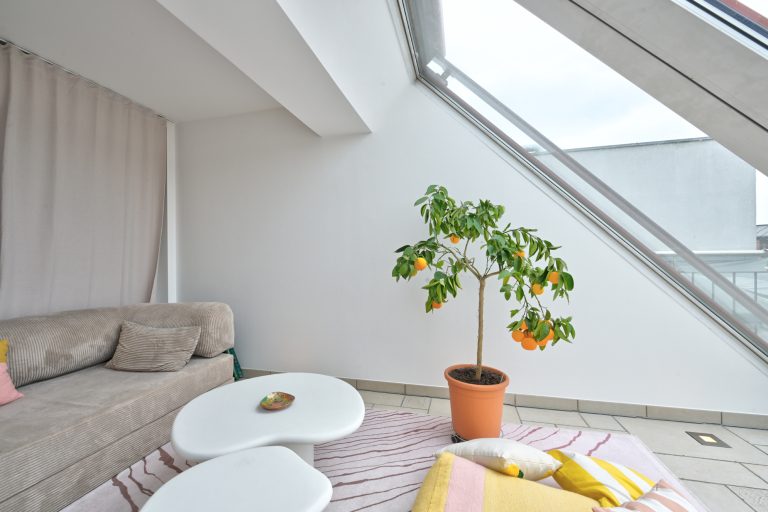 Aigner Immobilien GmbH - Immobilienangebot - 81667 München - Haidhausen - Etagenwohnung - Exklusivität und Lebensfreude auf höchstem Niveau: 5-Zimmer-Wohnung in Haidhausen