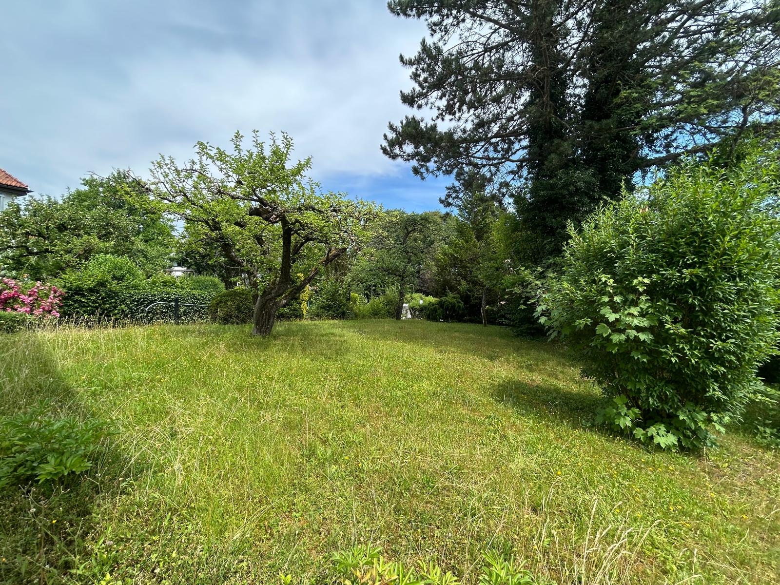 Aigner Immobilien GmbH - Immobilienangebot - 82319 Starnberg - Starnberg - Baugrund für Ein- / Zweifamilienhäuser - Grundstück für zwei MFH oder zwei EFH/DH in begehrter Lage von Starnberg!