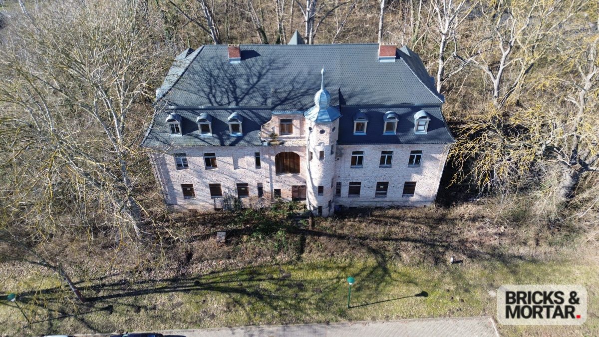 Immobilienangebot - Teutschenthal / Köchstedt - Alle - Einzigartiges Schloss in Teutschenthal – Historisches Anwesen mit vielseitigem Potenzial