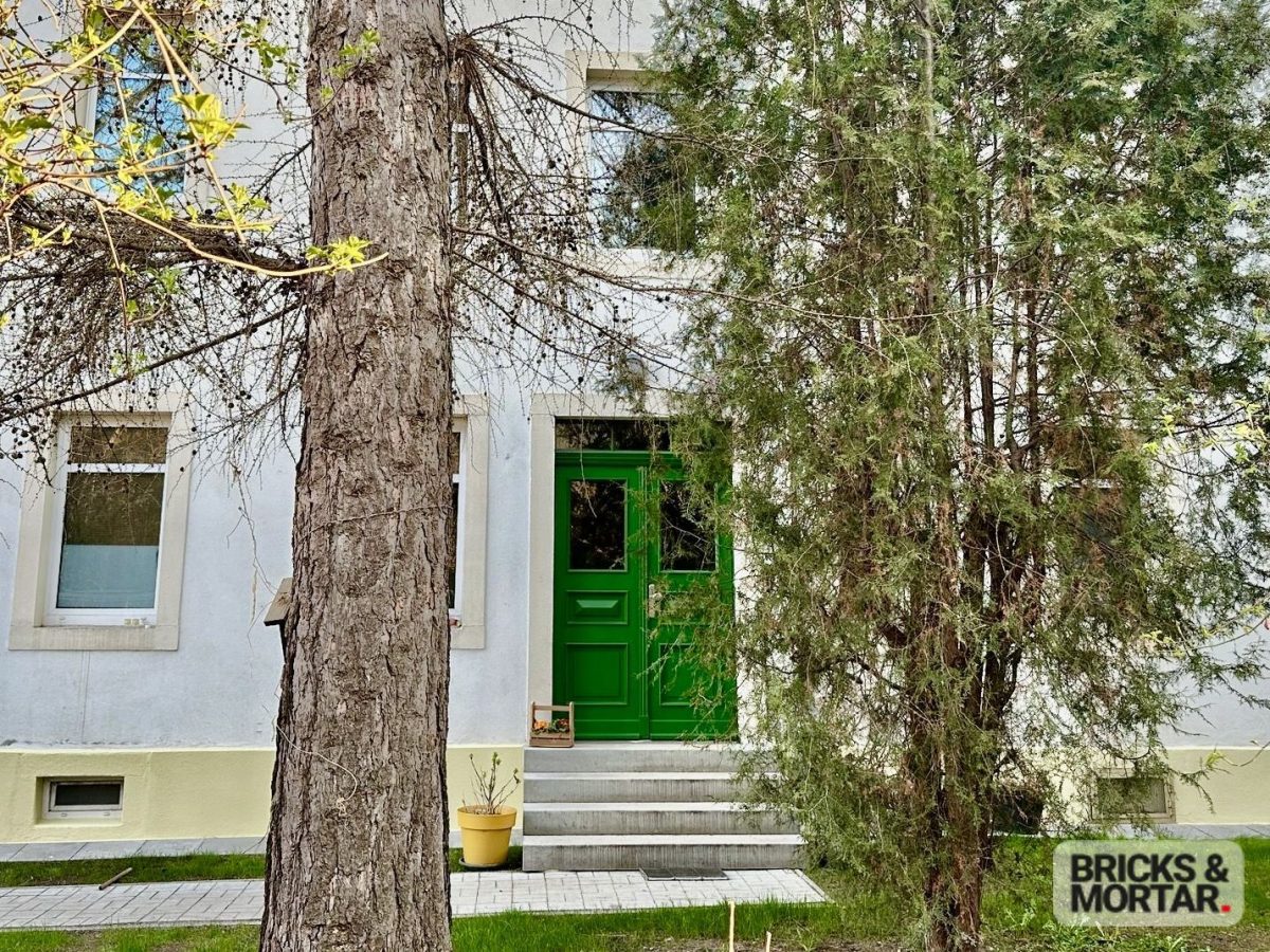 Immobilienangebot - Dresden - Alle - Hell, ruhig, gut geschnitten – 3-Zimmer-Wohnung mit Wohlfühlfaktor im gepflegten Mehrfamilienhaus