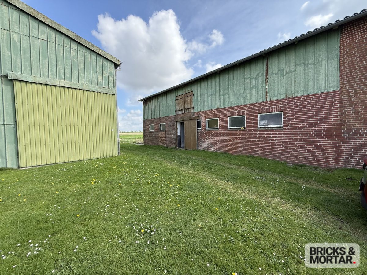 Immobilienangebot - Nordstrand - Alle - Idyllischer Resthof mit großem Grundstück und Weidefläche – Ihr Traum vom Landleben