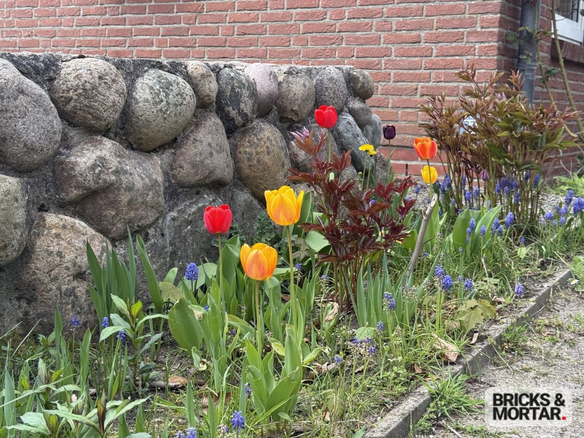 Immobilienangebot - Husum - Alle - Familienparadies: Stilvolles Haus mit großzügigem Garten in begehrter Lage